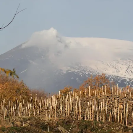 Le Del Merlo Turismo Rurale Farm stay *