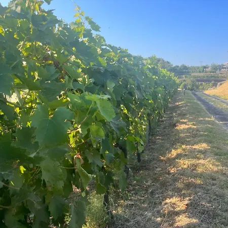 Le Del Merlo Turismo Rurale Milo
