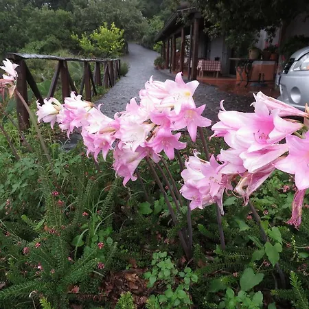 Le Del Merlo Turismo Rurale Farm stay *