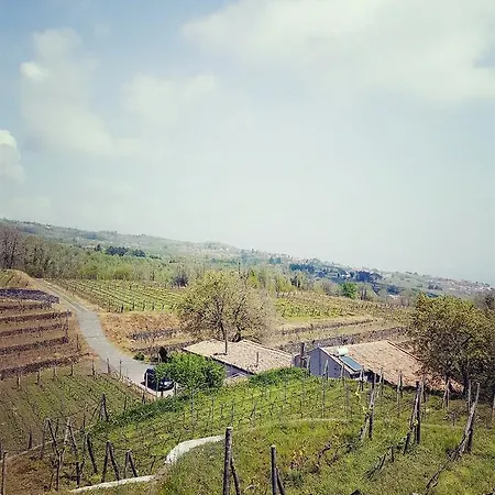 Le Del Merlo Turismo Rurale Çiftlik konaklama